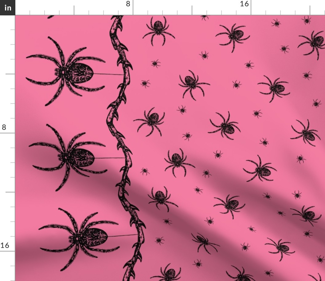 Spider Border (pink)