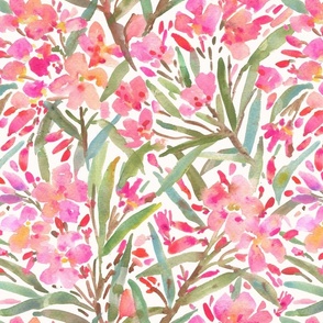 Oleander_Pink and Ivory