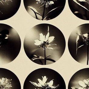 Pinhole Camera Sepia Floral Grid