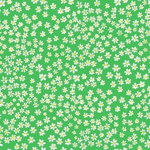 (S) Tiny quilting floral - small white flowers on Grass green - Petal Signature Cotton Solids coordinate
