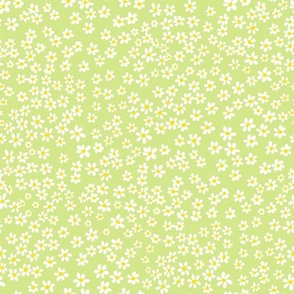 (S) Tiny quilting floral - small white flowers on Honeydew green - Petal Signature Cotton Solids coordinate