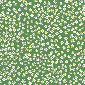 (S) Tiny quilting floral - small white flowers on Kelly green - Petal Signature Cotton Solids coordinate