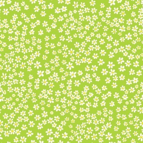 (S) Tiny quilting floral - small white flowers on Lime green - Petal Signature Cotton Solids coordinate