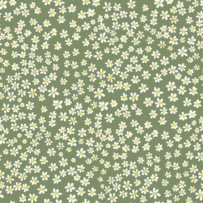 (S) Tiny  quilting floral - small white flowers on Sage green - Petal Signature Cotton Solids coordinate