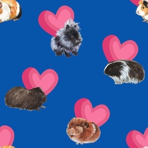 For the Love of Guinea Pigs Blue