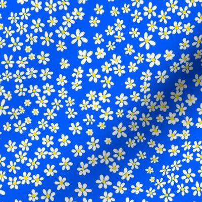 (S) Tiny quilting floral - small white flowers on Cobalt blue  - Petal Signature Cotton Solids coordinate