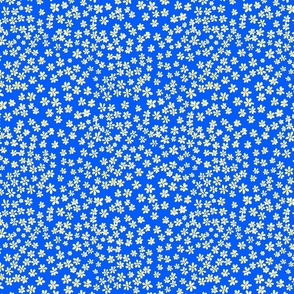 (S) Tiny quilting floral - small white flowers on Cobalt blue  - Petal Signature Cotton Solids coordinate