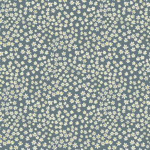 (S) Tiny quilting floral - small white flowers on Slate gray  - Petal Signature Cotton Solids coordinate
