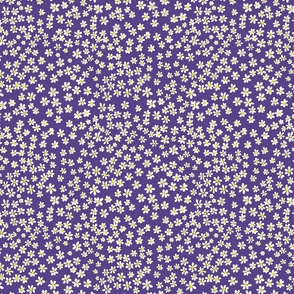 (S) Tiny quilting floral - small white flowers on Grape purple - Petal Signature Cotton Solids coordinate