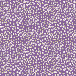 (S) Tiny quilting floral - small white flowers on Orchid purple - Petal Signature Cotton Solids coordinate