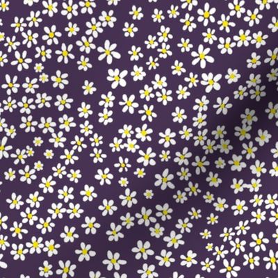 (S) Tiny quilting floral - small white flowers on Plum purple - Petal Signature Cotton Solids coordinate