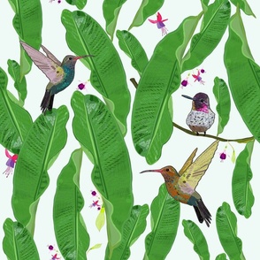 Hummingbird fucisia and banana leaves pattern