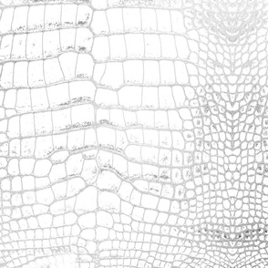 White Dragon Aligator Crocodile Scales Reptile Skin Pattern