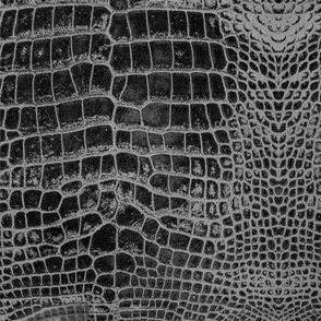 Black Grungy Inverted Dragon Aligator Crocodile Scales Reptile Skin Pattern