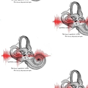 Soundwave Cochlea