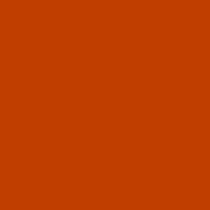 Palm Springs Cinnamon Orange Solid Color