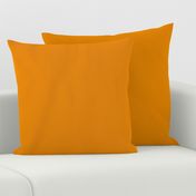 Palm Springs Orange Solid Color