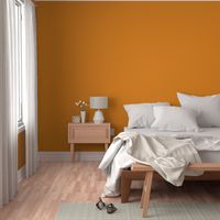 Palm Springs Orange Solid Color