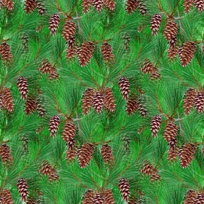 Pinecones - ME State Flower - Petal Power