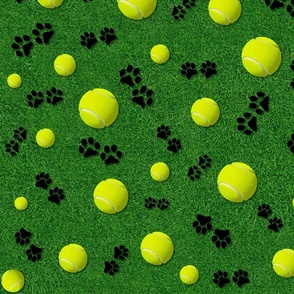 Tennis Balls and Puppy Paws