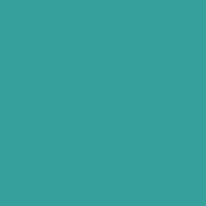 Palm Springs Turquoise Blue Solid Color