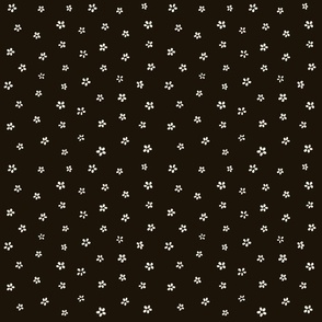 Tiny, Simple, White Flowers Dancing Across Soft Dark Chocolate Brown Background
