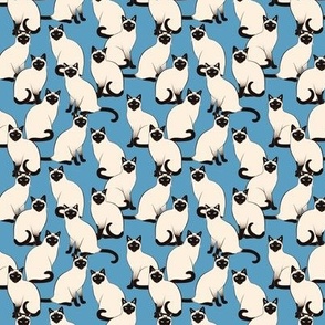 tiny Siamese Cats Crowd on Blue