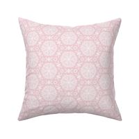 Honeycomb Lace in White on Cameo Pink - Coordinate