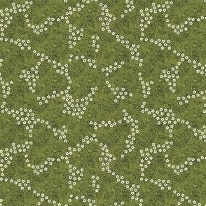 Fairy Rings Tiny White Daisies on Dark Olive Green Textured Background in 4” Repeats