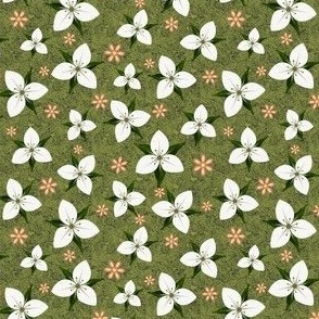 White Trillium Glen Floral with Pastel Peach Daisies Scattered on a Dark Olive Green Textured Background with 4” Repeat