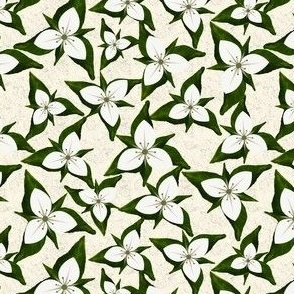 White Trilliums and Dark Green Leaves Scattered on an Ivory Background with Subtle Texture in 5” Repeats