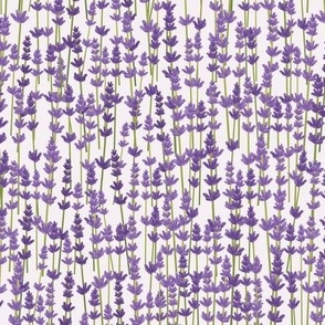 French Lavender Fields on Pale Purple Background 12 inch Repeat