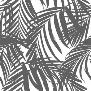 palm fronds LARGE - palm leaf wallpaper charcoal 