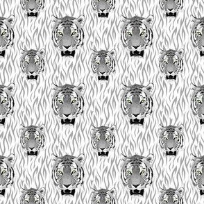 Small Black and White Tiger Face With Stripes