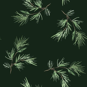Watercolor pine sprigs on dark background large scale