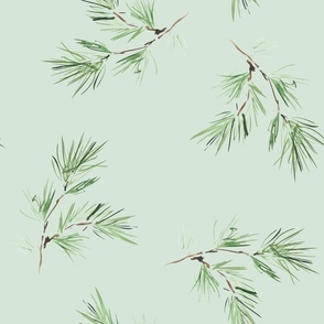 Watercolor Pine  branches on a light green large scale