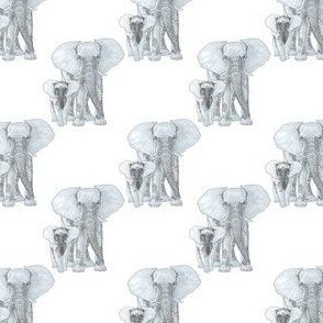 Ditzy Jungle Safari Gray Elephants