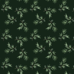 Sprigs of pine on dark green small scale