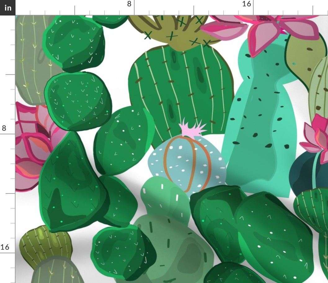 Cactus and succulent tropical flowers pattern