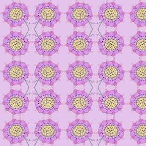 lilac flower dots