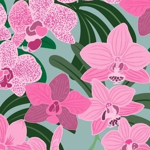 Pink Orchids on cambridge blue