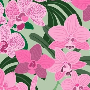 Pink Orchids on celadon