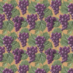 Villa grapes 8x8