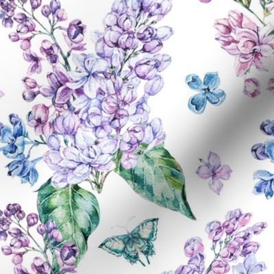 Watercolor gentle lilac flowers on white