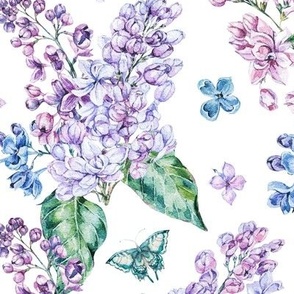 Watercolor gentle lilac flowers on white