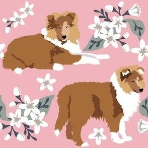 large print // Collie Puppy White Little Flowers with Pink background Small Print dog fabric