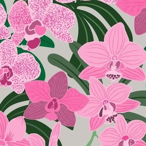 Pink Orchids on warm gray