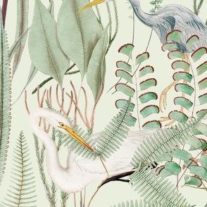 herons and egrets on celery, larger scale