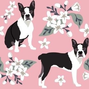 large print // Boston Terrier Dog Puppy Floral  Small white flowers pink dog fabric
