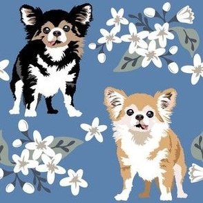 large print // Chihauhau dog puppy Floral Denim small white flowers dog fabric